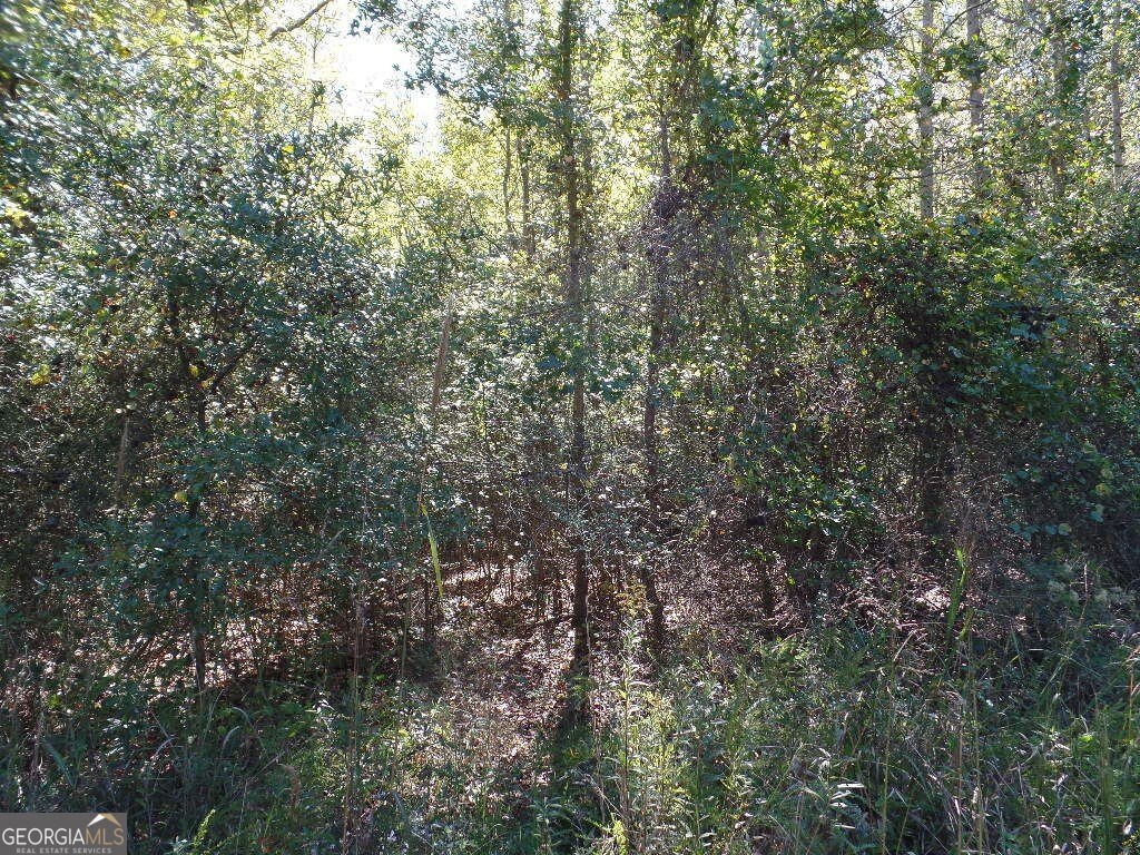 Picture 7