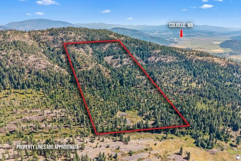 Secluded Hunting Land with Timber