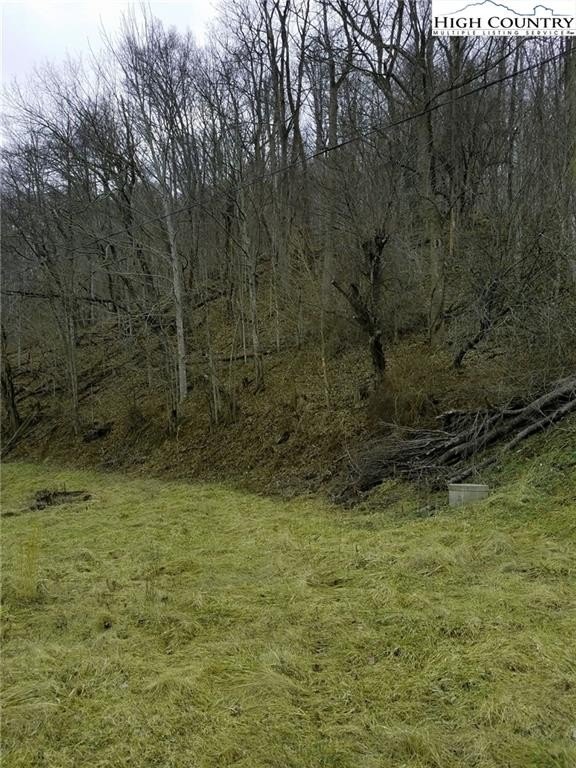 Picture 12