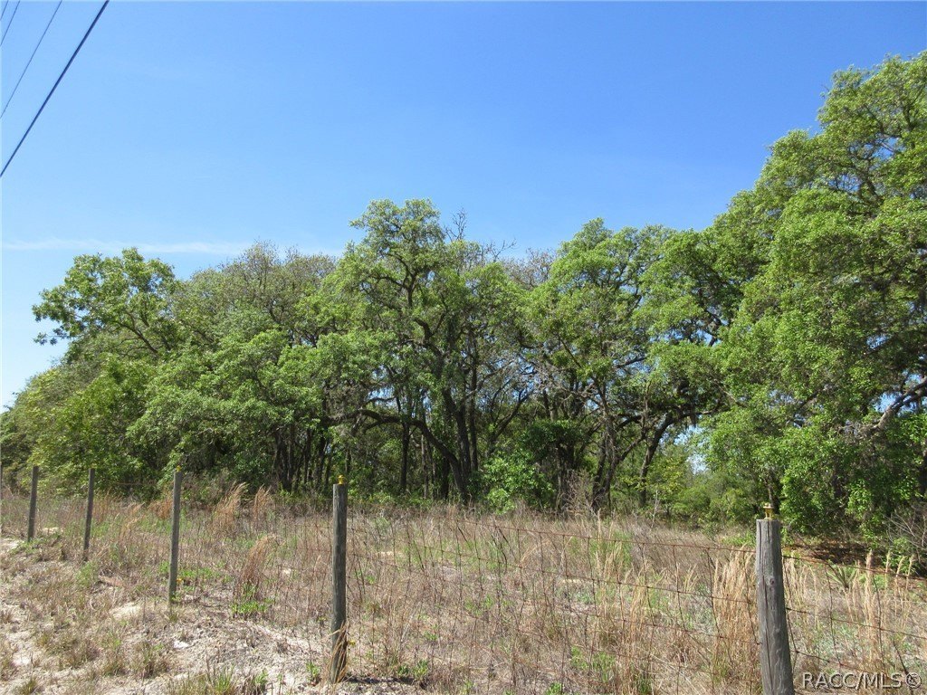 Dunnellon Land: Ranch Ready