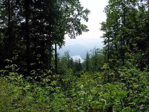 Land with Lake and Park Views