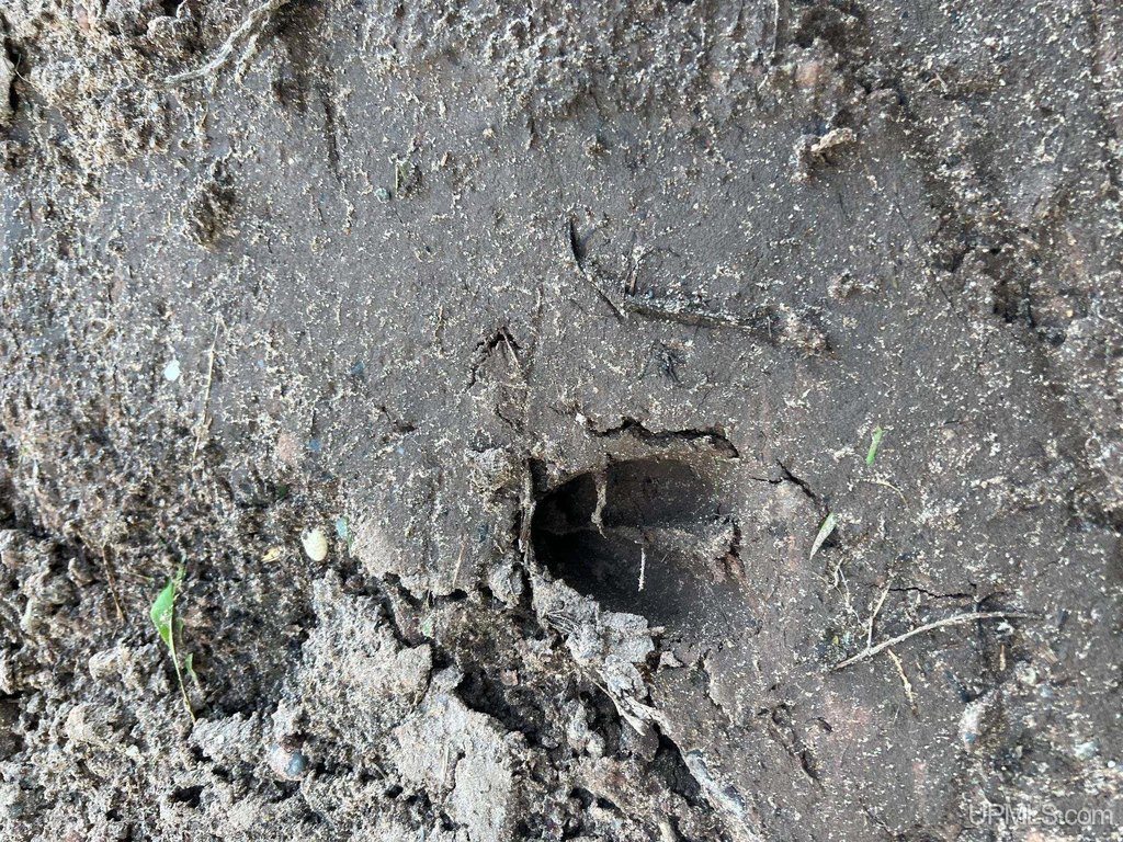 Picture 6