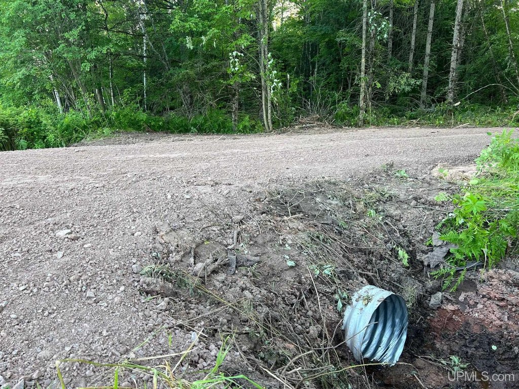Picture 21