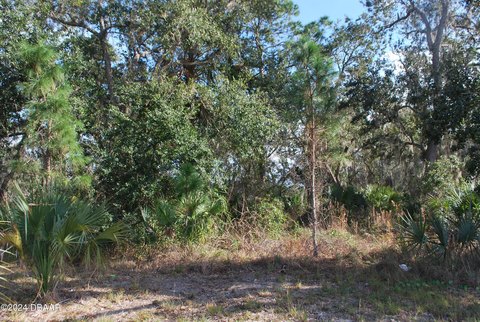 Edgewater, FL Commercial Land