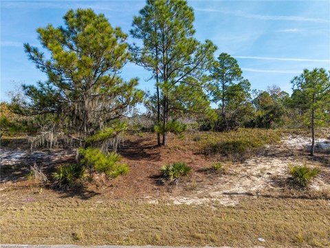 Land, Lake Placid, FL