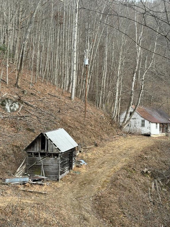 Picture 39