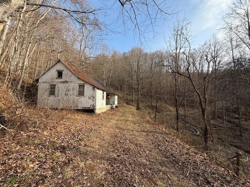 Picture 6