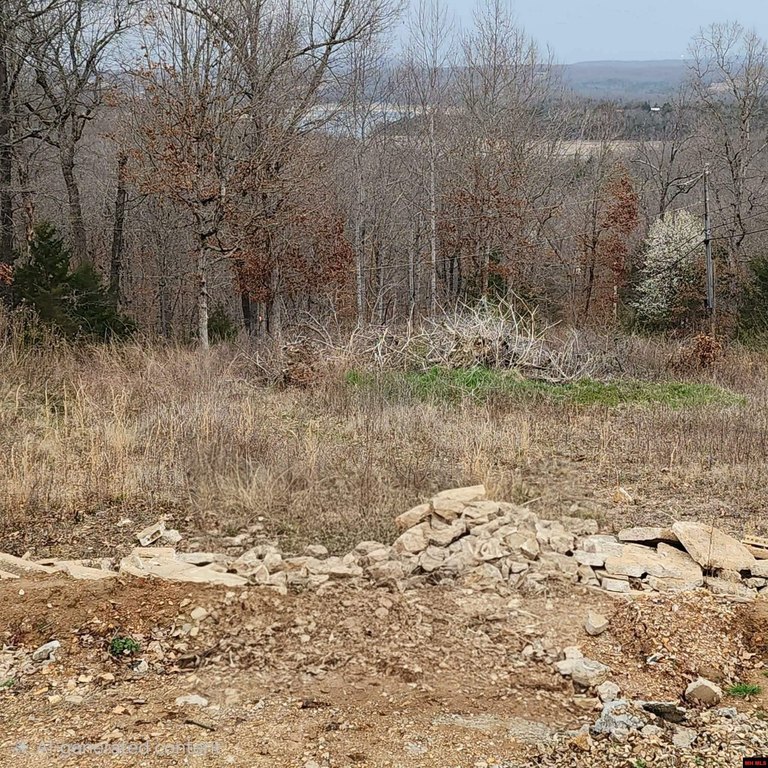 Picture 12