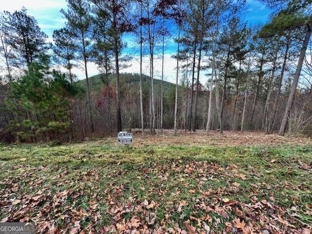 Blairsville Land with Mountain Views