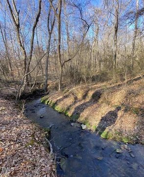 Roxboro Land with Creek
