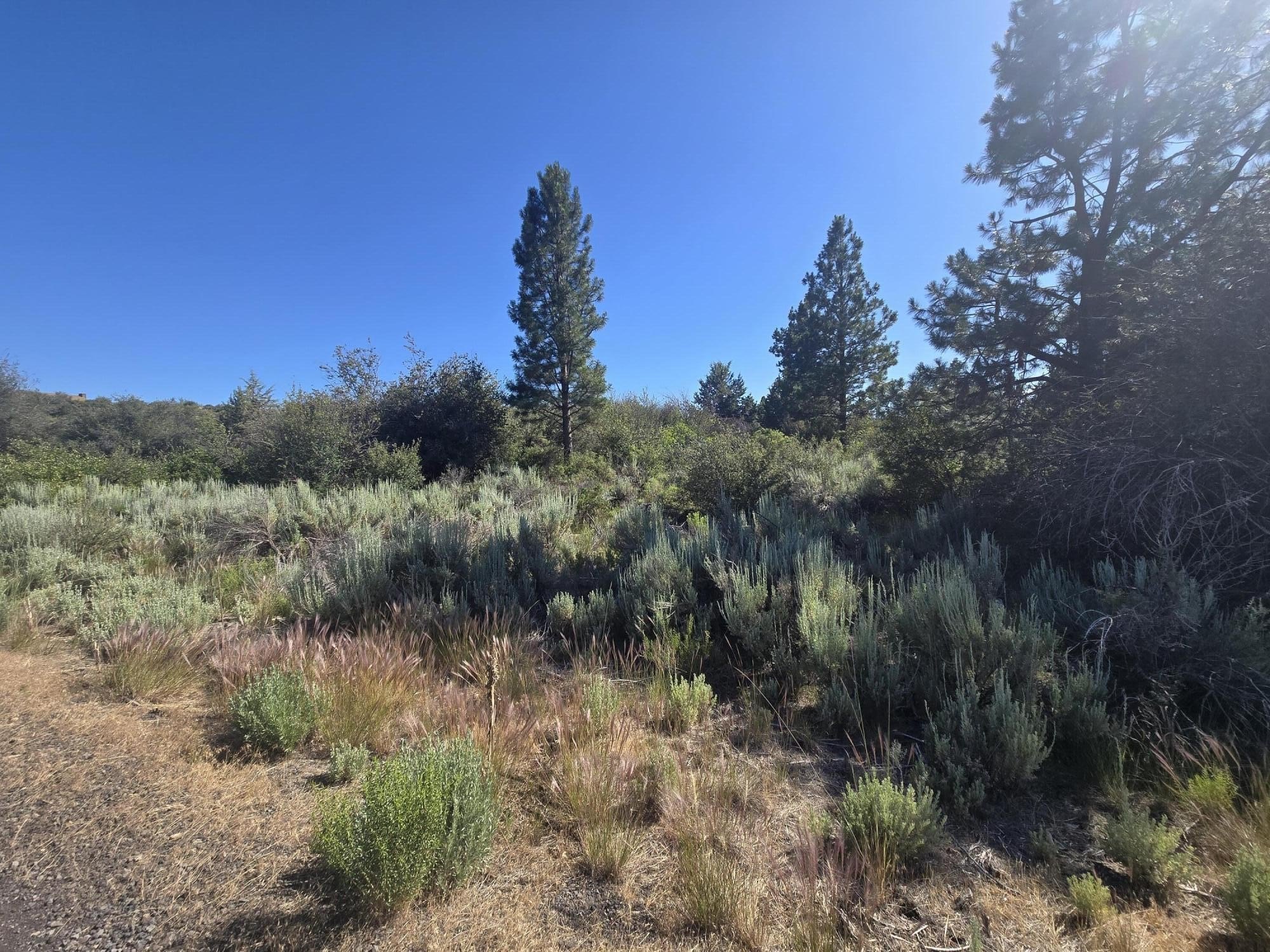 Scenic Corner Lot in Chiloquin