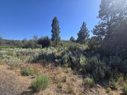 LAND - Chiloquin, OR