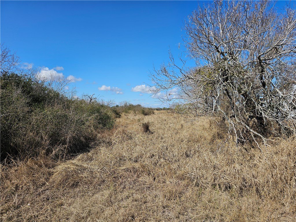 Picture 6