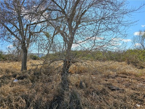 LAND - Bayside, TX