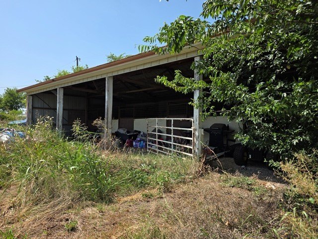 Picture 6