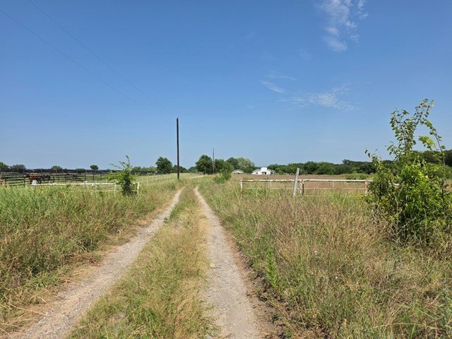 Picture 9