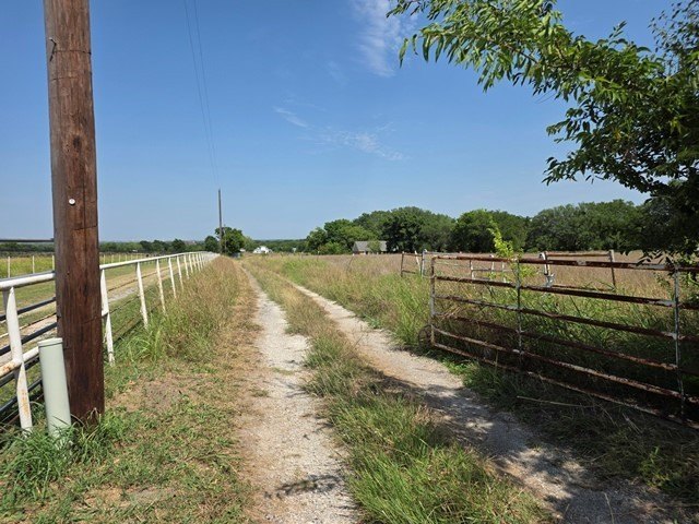 Picture 10