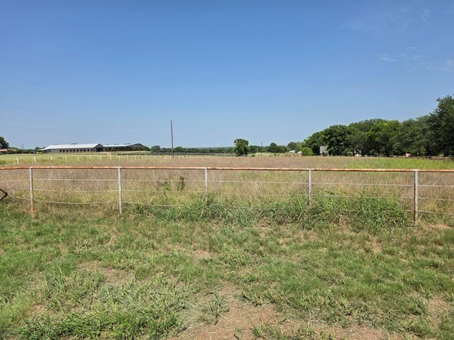 Picture 15