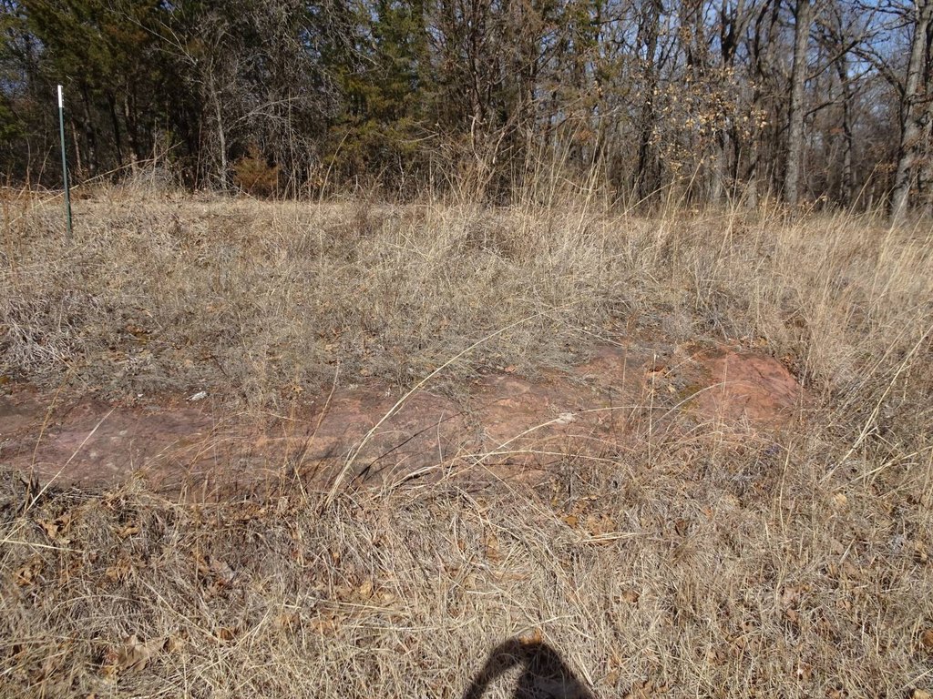 Picture 13