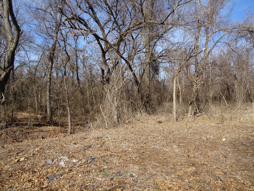 Picture 4