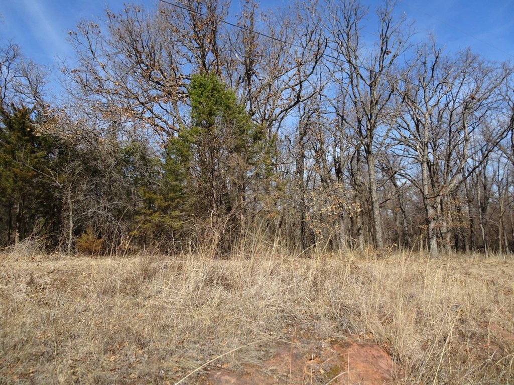 Picture 14