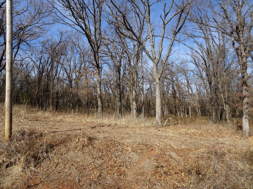 Picture 11