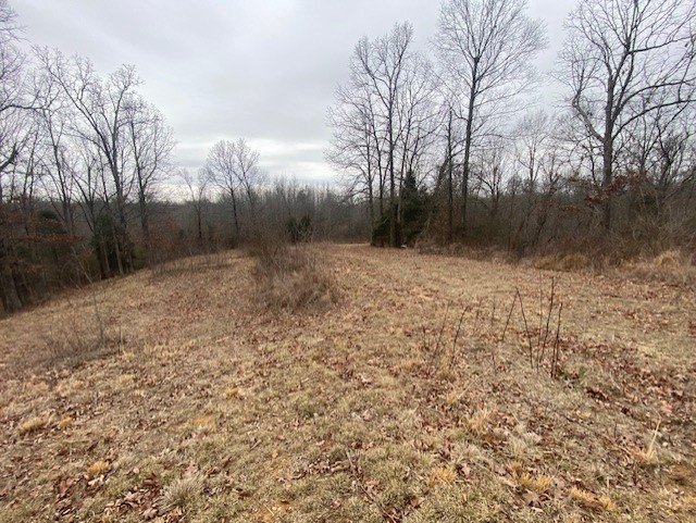 Picture 4