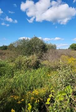 Land, Leroy, MI