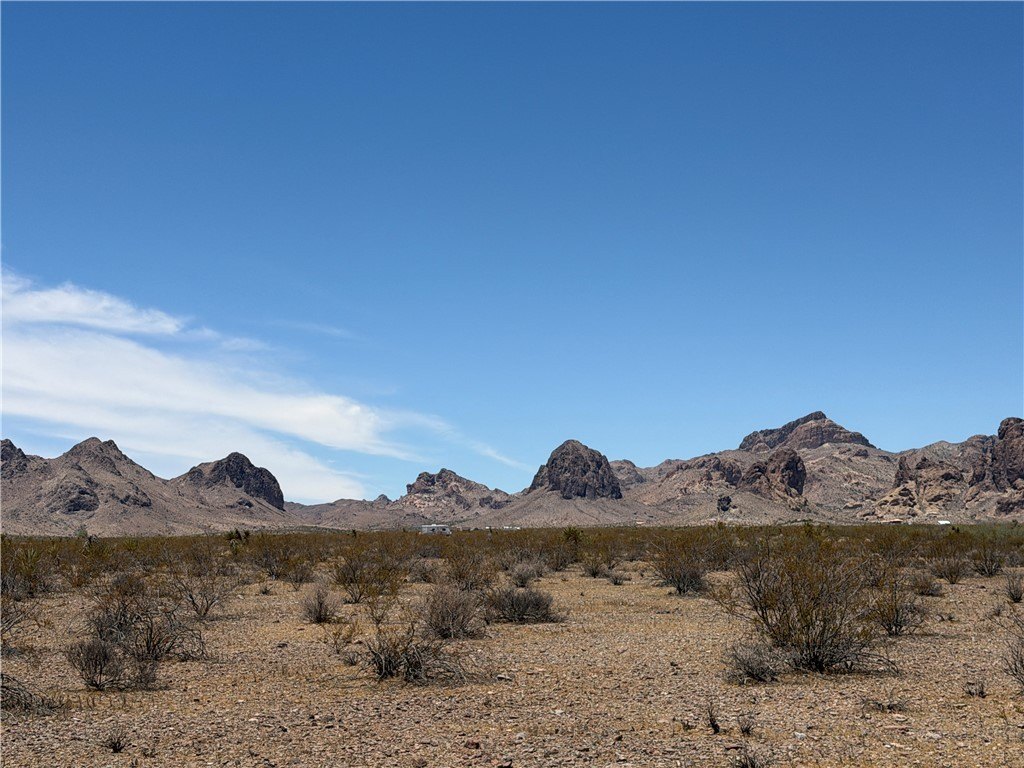 Picture 5