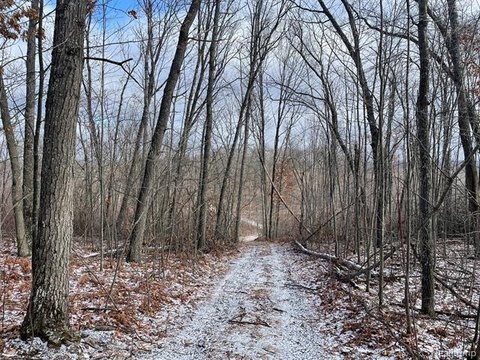 Hunting Land with Rustic Cabin