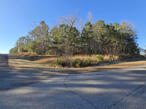 Wooded Lot Near Lake Thurmond
