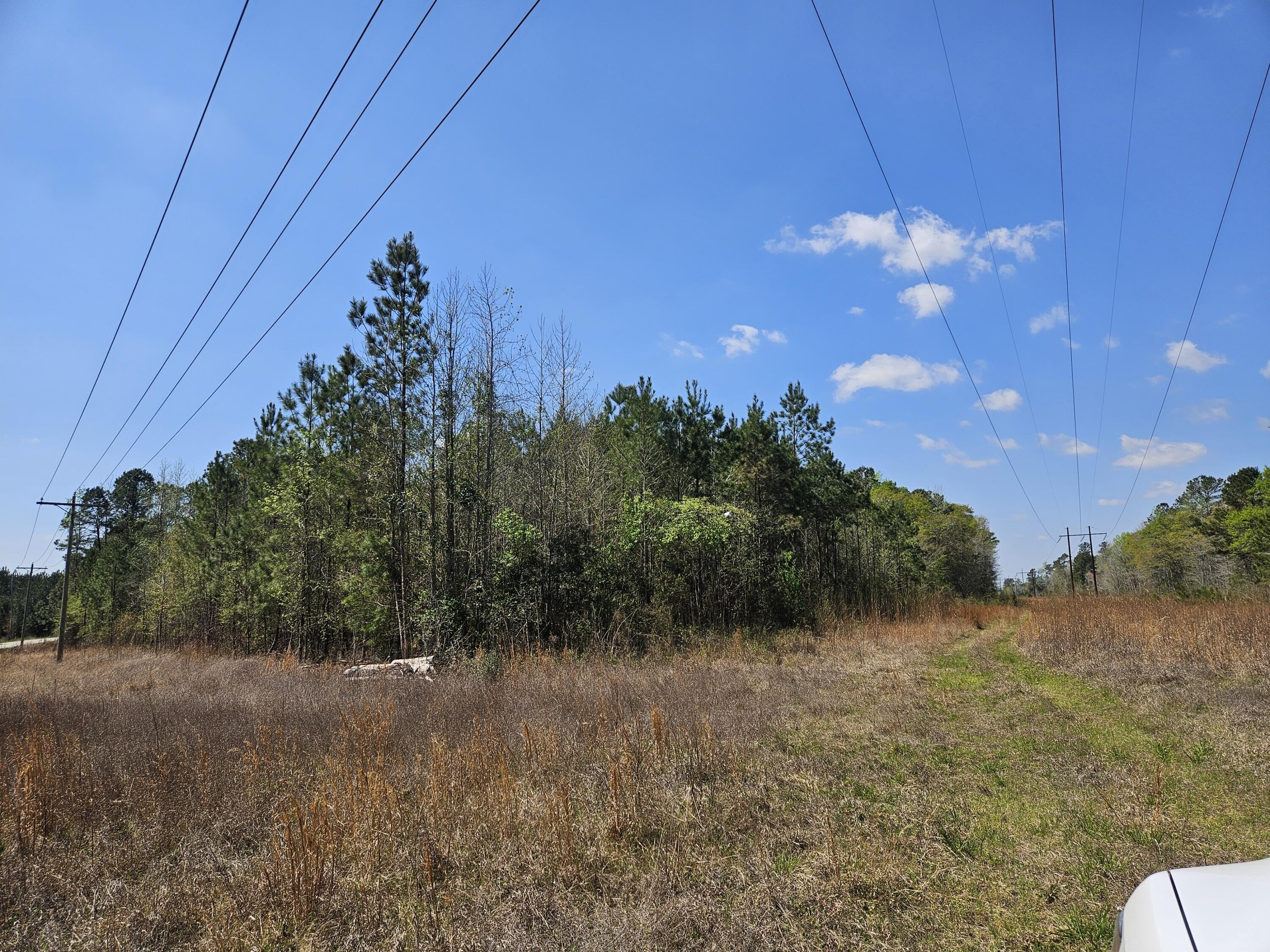 Greeleyville Land with Power