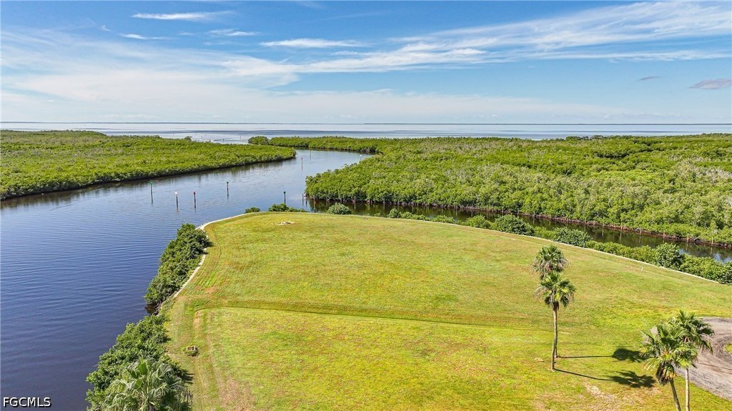 Picture 7