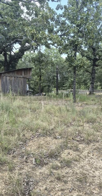Picture 10