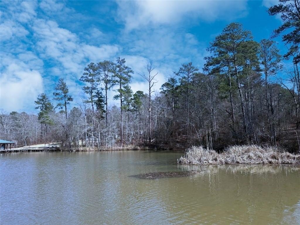 Lake Sinclair Waterfront Land Opportunity