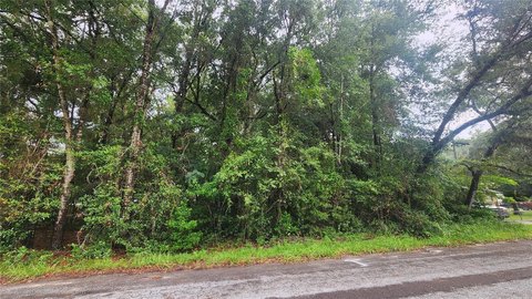 Land, HOMOSASSA, FL