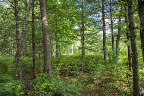 Lots & Acreage, Mauston, WI