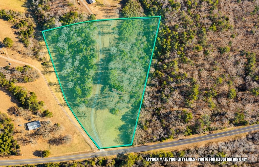 Picture 7