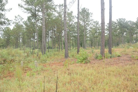 Land, Milledgeville, GA