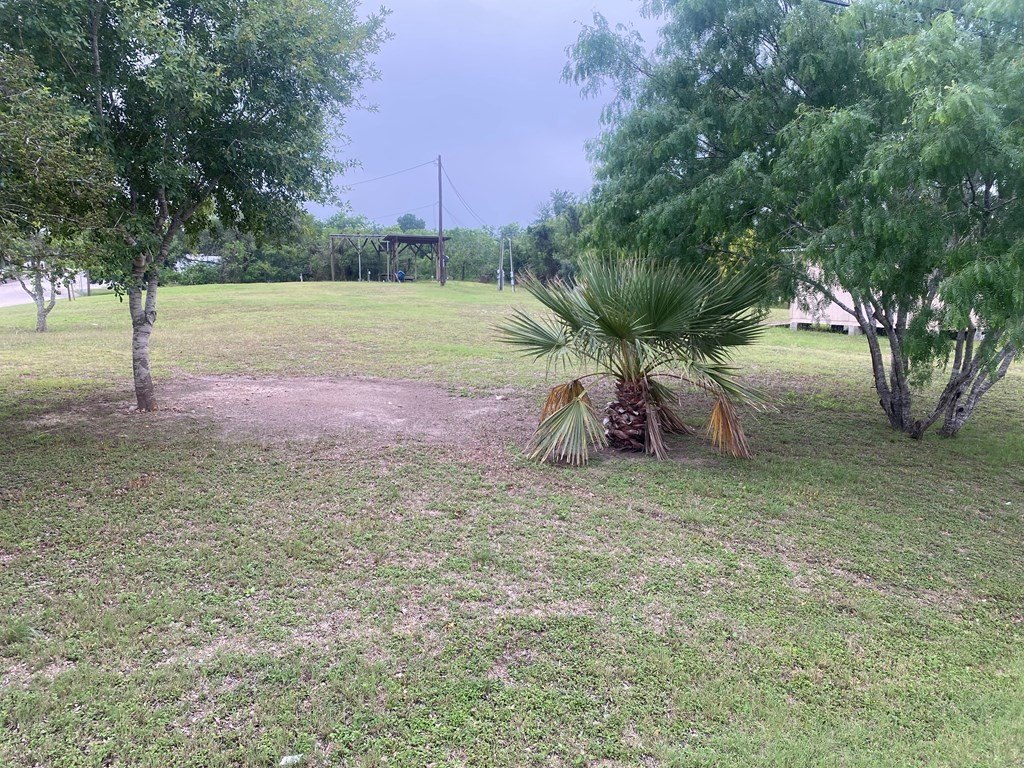 Picture 6