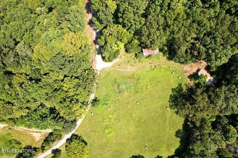 Unrestricted 45-Acre Tazewell Land