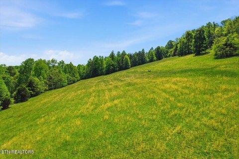 Unrestricted Land Near Clinch River