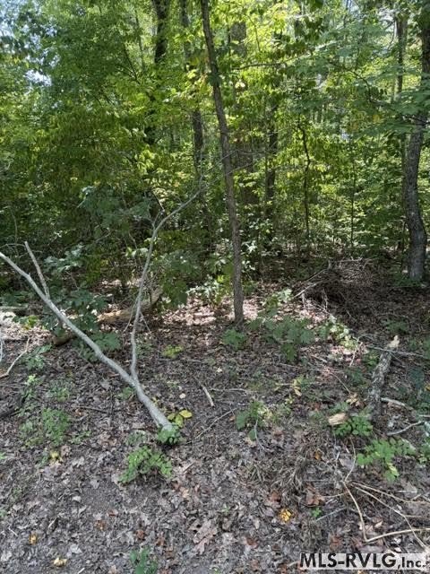 Picture 3