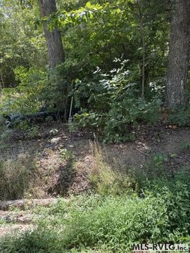 Land/Lots, Brodnax, VA
