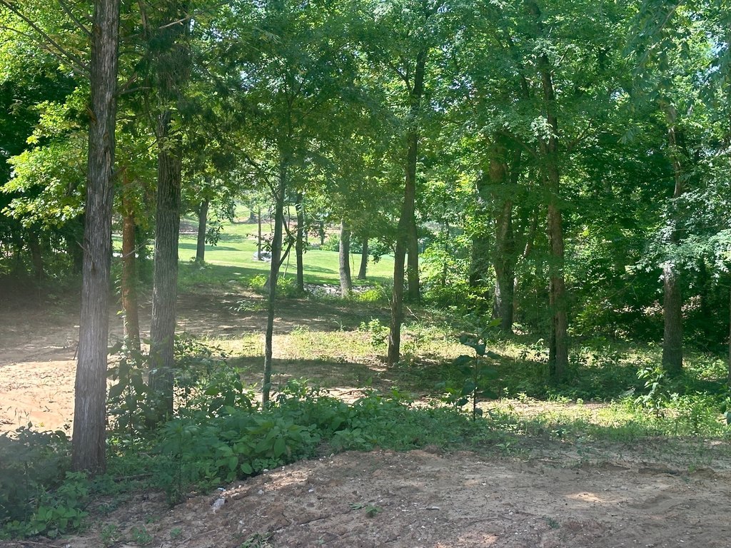 Picture 14