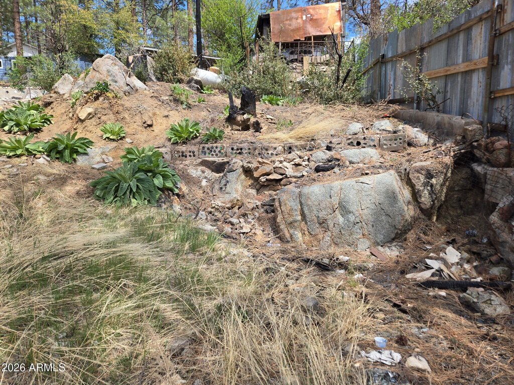 Picture 5