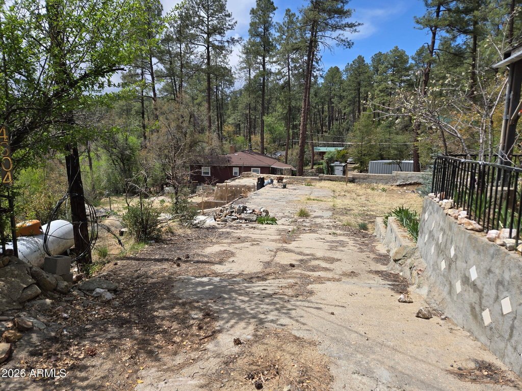 Picture 9
