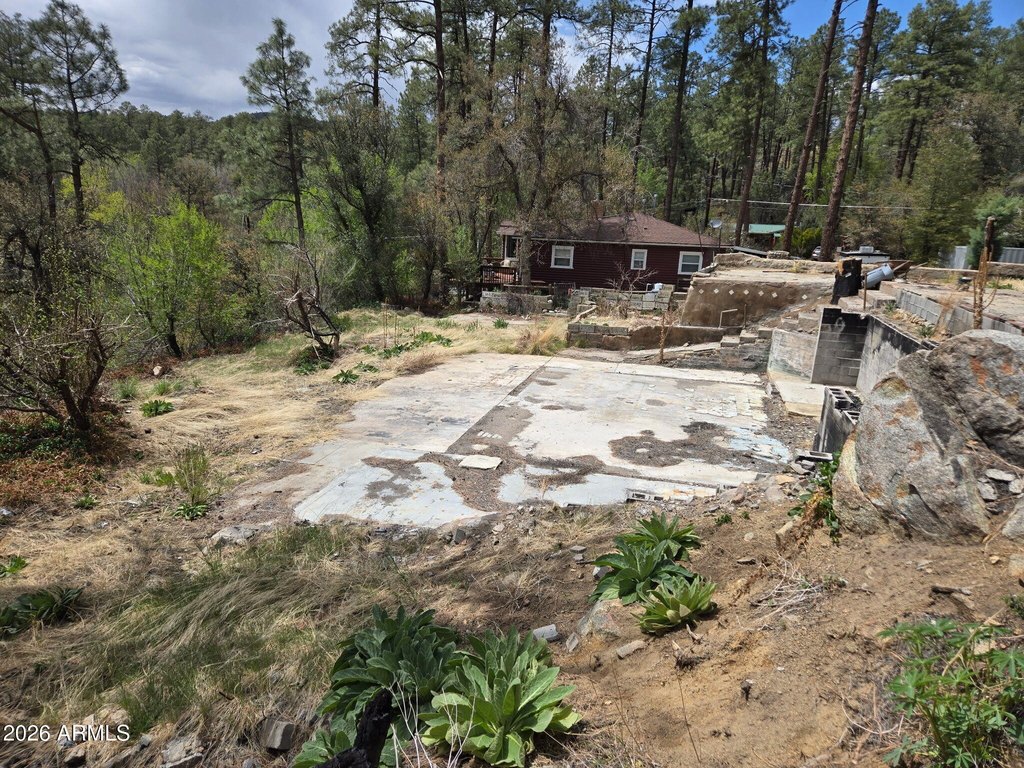 Picture 6