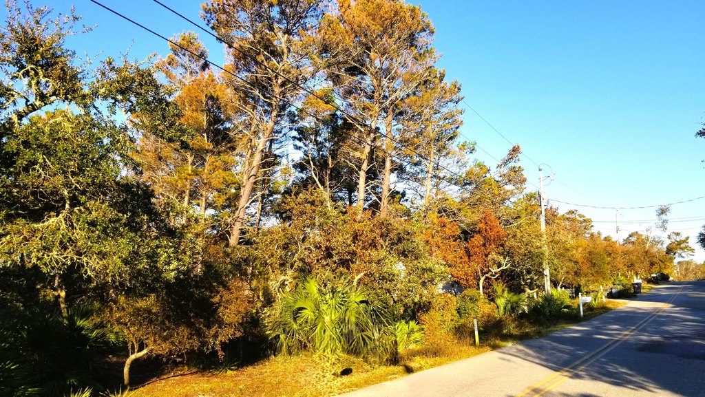 Picture 2