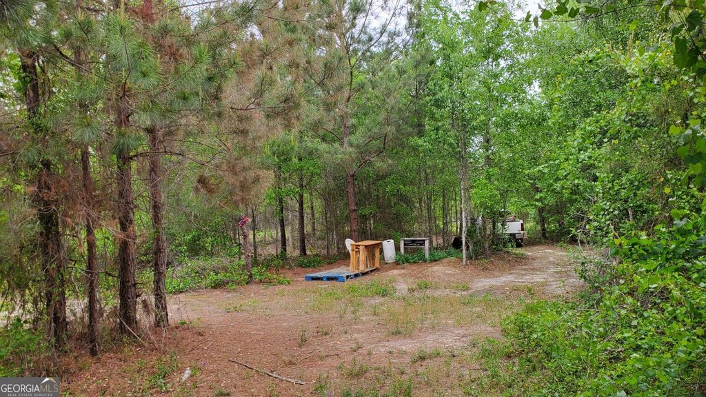 Picture 9